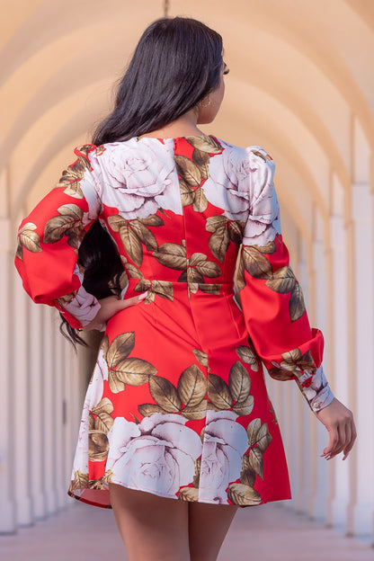 Multi Red Dress