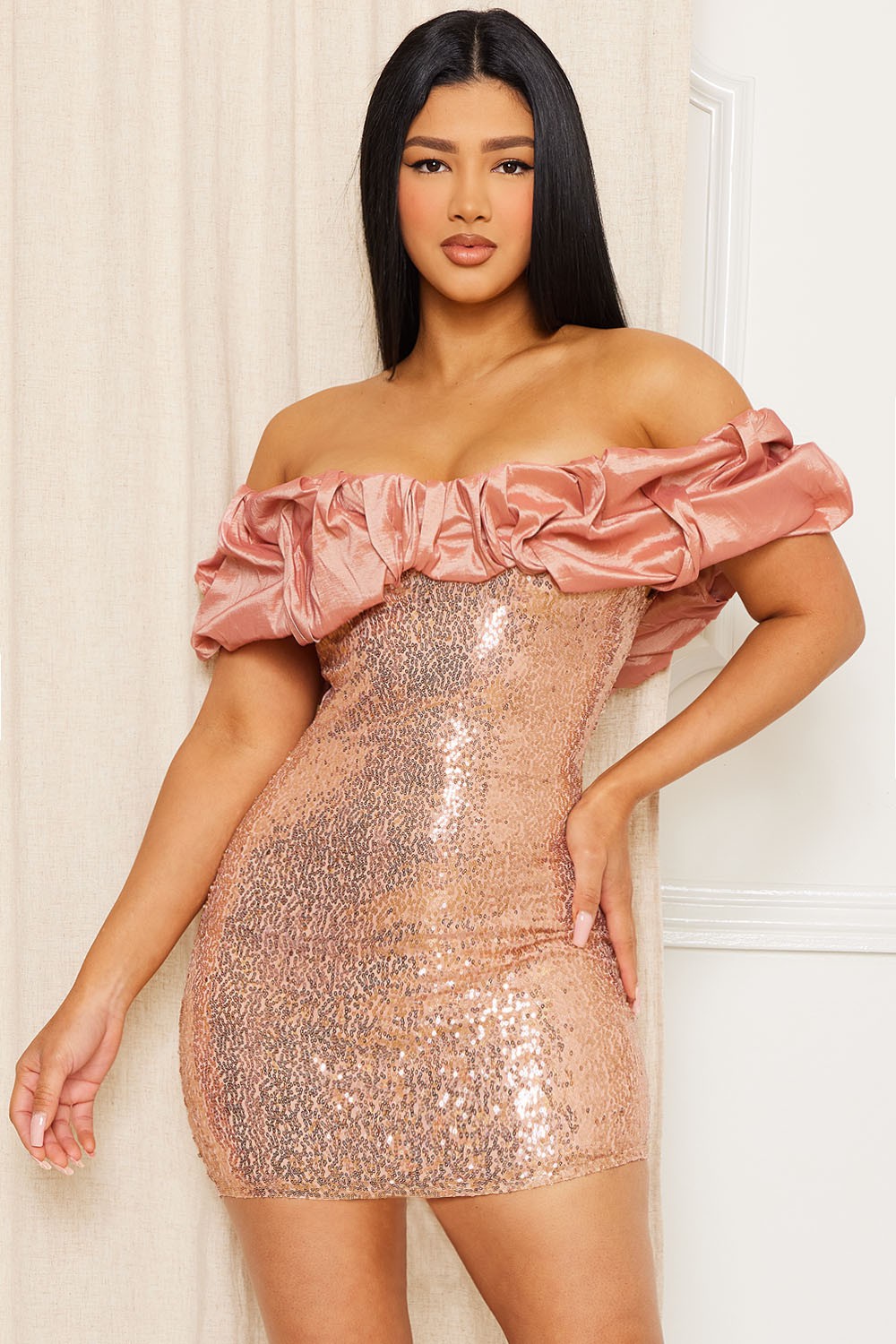 Rose Sequin Mini Dress